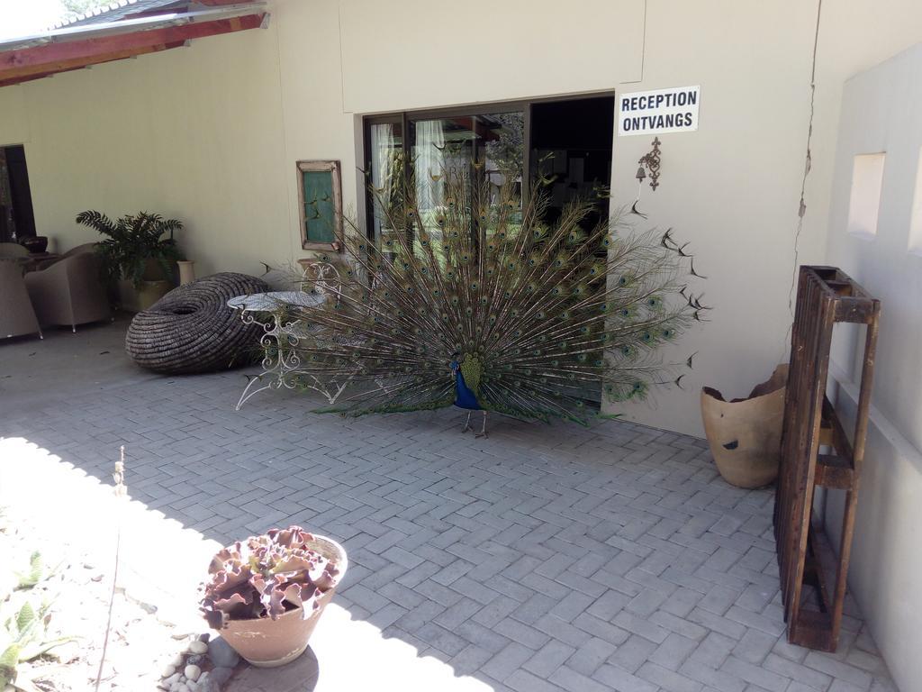 Xain Quaz Camp Hotel Gobabis Bagian luar foto
